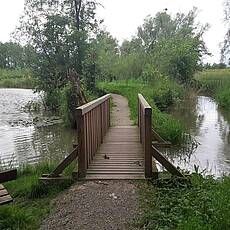 Weg Richtung Naarn