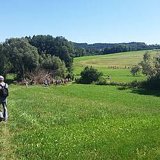 Am Weg Richtung Grein